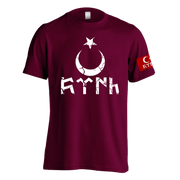 Göktürk T-Shirt Türk Militär Design Vintage Shirt Geschenk 4 Farben Ayyildiz